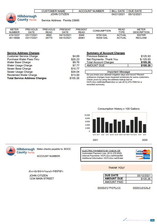 download download USA Hillsborough County utility bill template in Word and PDF format PDF template PDF template